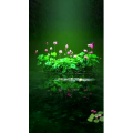治愈系风景26