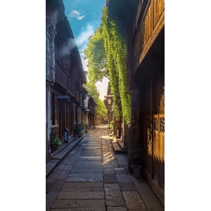 治愈系风景31
