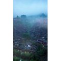 治愈系风景32