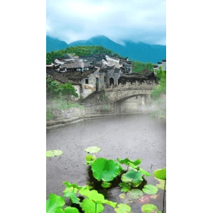 治愈系风景33