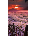 治愈系风景35