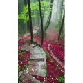 治愈系风景36
