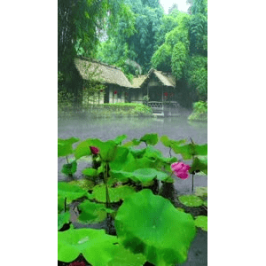 治愈系风景37