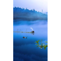 治愈系风景39