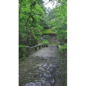 治愈系风景40