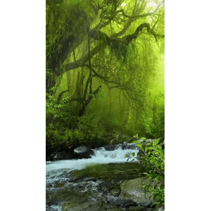 治愈系风景42