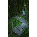 治愈系风景48