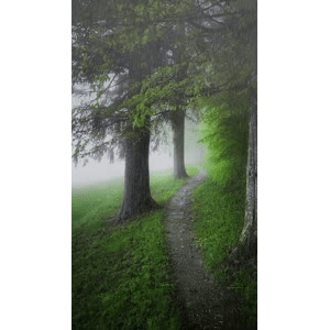 治愈系风景55
