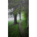 治愈系风景55