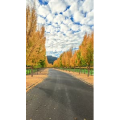 治愈系风景58