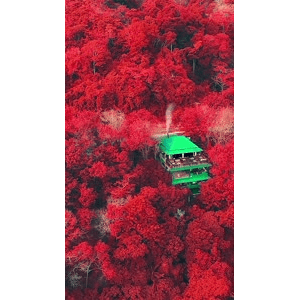 治愈系风景72