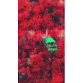 治愈系风景72