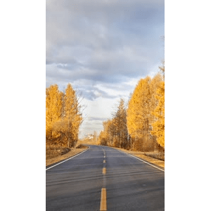 治愈系风景74