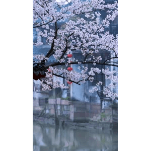 治愈系风景75