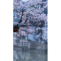 治愈系风景75