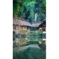 治愈系风景76