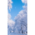 治愈系风景83