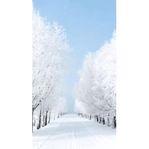 治愈系风景84