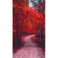 治愈系风景90