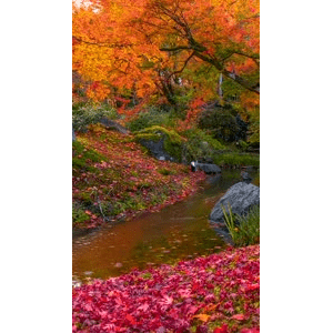 治愈系风景93