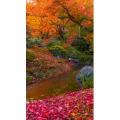 治愈系风景93
