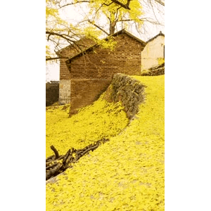 治愈系风景99