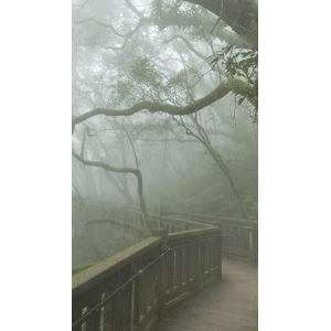治愈系风景100