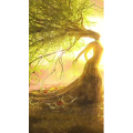 治愈系风景124