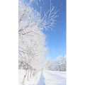治愈系风景139