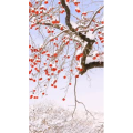 治愈系风景141