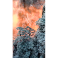 治愈系风景145