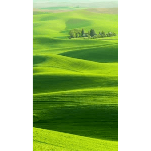 治愈系风景149