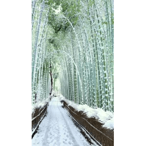 治愈系风景150
