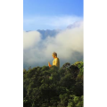 治愈系风景164