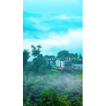 治愈系风景166