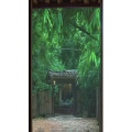 治愈系风景180