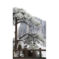 治愈系风景186
