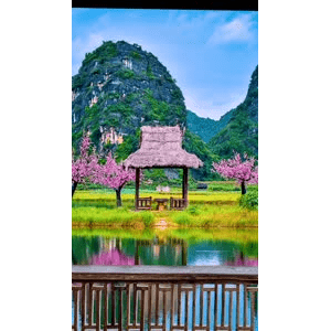 治愈系风景191