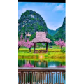 治愈系风景191