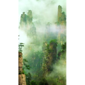 治愈系风景197