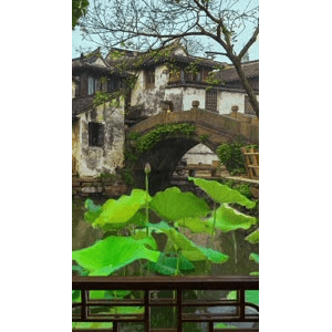 治愈系风景199