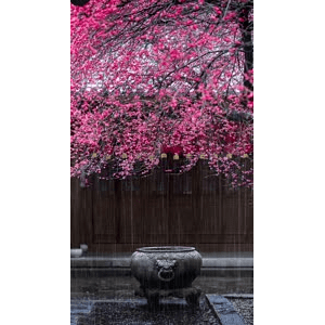 治愈系风景201