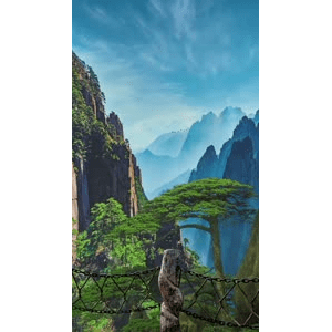 治愈系风景207