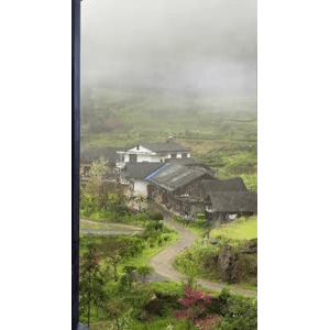 治愈系风景214