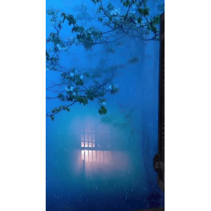 治愈系风景217