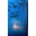 治愈系风景217