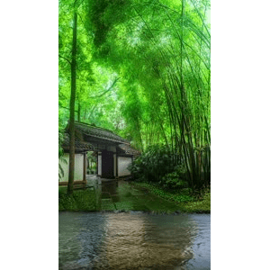 治愈系风景219