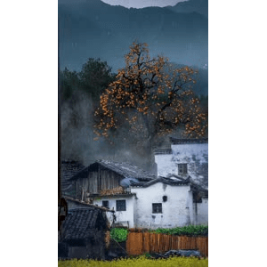 治愈系风景220