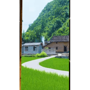 治愈系风景223