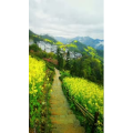 治愈系风景224